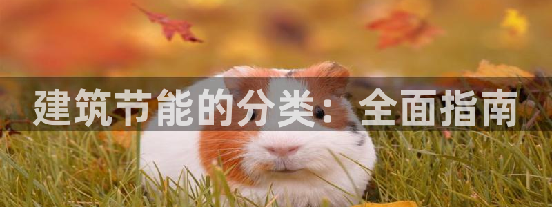 e尊国际地址：建筑节能的分类：全面指南