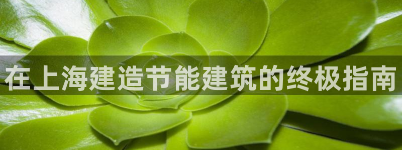 e尊国际官网app：在上海建造节能建筑的终极指南