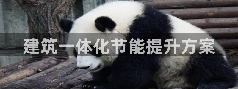 e尊国际-可可计划：建筑一体化节能提升方案