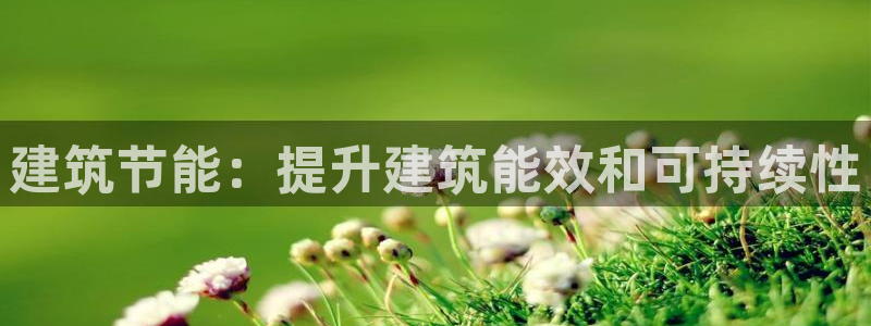 E尊国际：建筑节能：提升建筑能效和可持续性