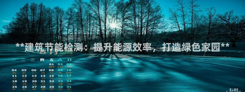 e尊国际官网：**建筑节能检测：提升能源效率，打造绿色家园**