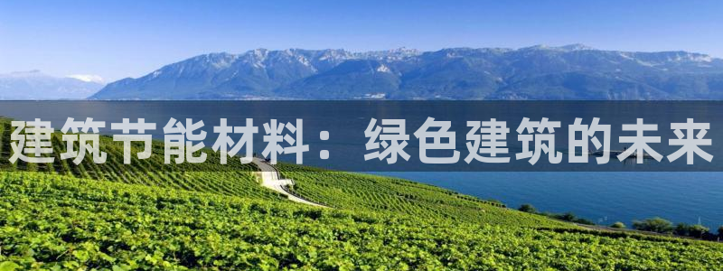e尊国际官网：建筑节能材料：绿色建筑的未来