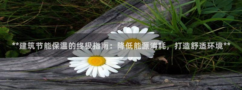 e尊国际客户端：**建筑节能保温的终极指南：降低能源消耗，打造舒适环境**