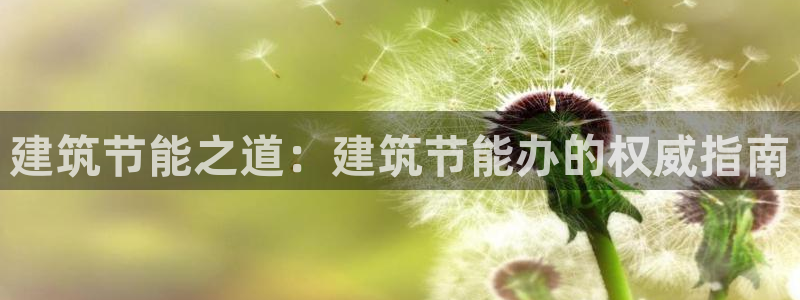e尊国际官网·网址：建筑节能之道：建筑节能办的权威指南