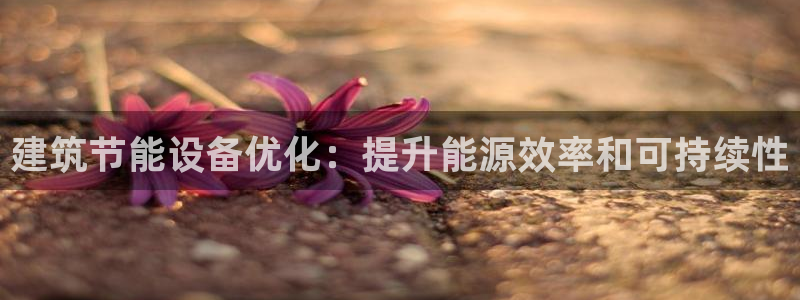 e尊国际是干什么的：建筑节能设备优化：提升能源效率和可持续性