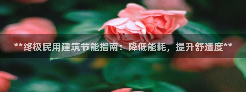 e尊国际娱乐官网下载：**终极民用建筑节能指南：降低能耗，提升舒适度**