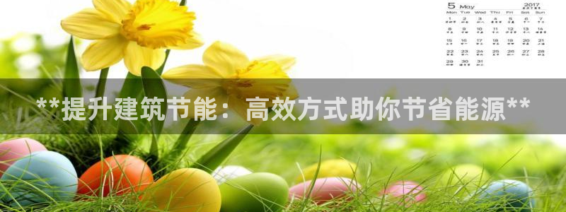 e尊国际的手机登录网站：**提升建筑节能：高效方式助你节省能源**