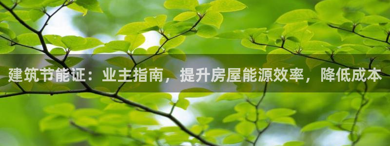 e尊平台：建筑节能证：业主指南，提升房屋能源效率，降低成本