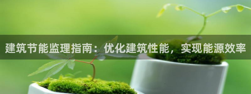 e尊国际官方网站：建筑节能监理指南：优化建筑性能，实现能源效率