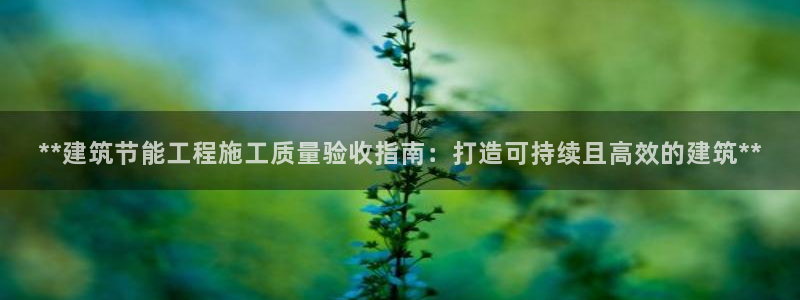 e尊国际-e尊国际官网：**建筑节能工程施工质量验收指南：打造可持续且高效的建筑**