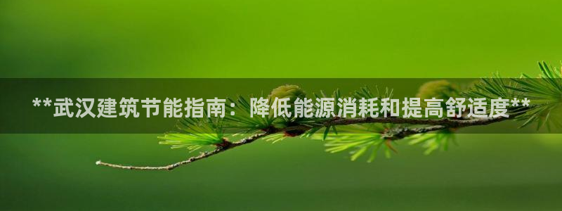 e尊国际官网app：**武汉建筑节能指南：降低能源消耗和提高舒适度**