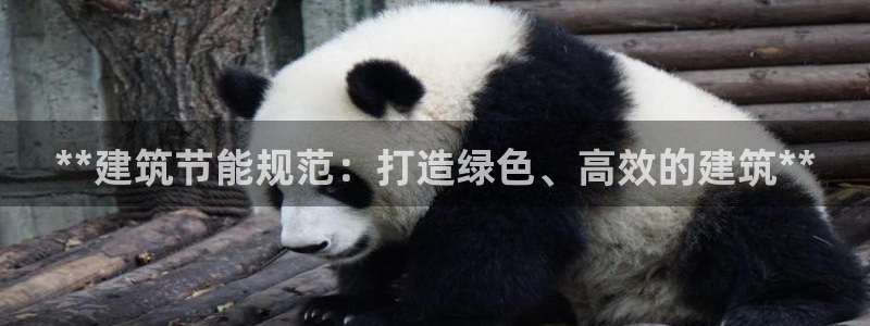 e尊国际官方网站：**建筑节能规范：打造绿色、高效的建筑**