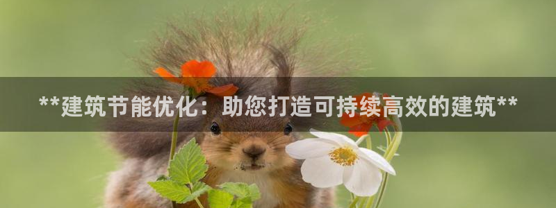 e尊国际娱乐官网下载：**建筑节能优化：助您打造可持续高效的建筑**