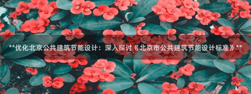 e尊国际客户端：**优化北京公共建筑节能设计：深入探讨《北京市公共建筑节能设计标准》**