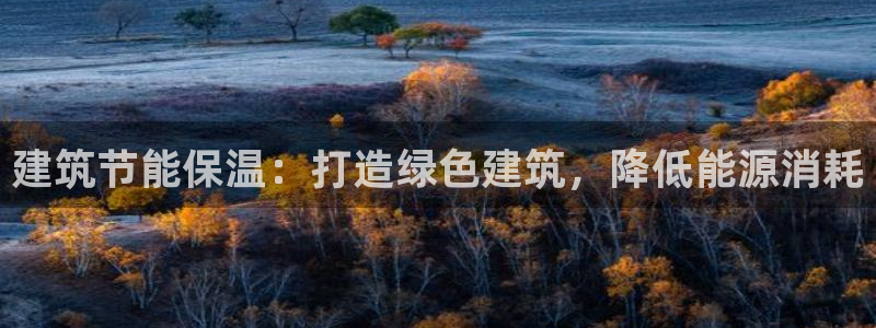 e尊国际官网app：建筑节能保温：打造绿色建筑，降低能源消耗