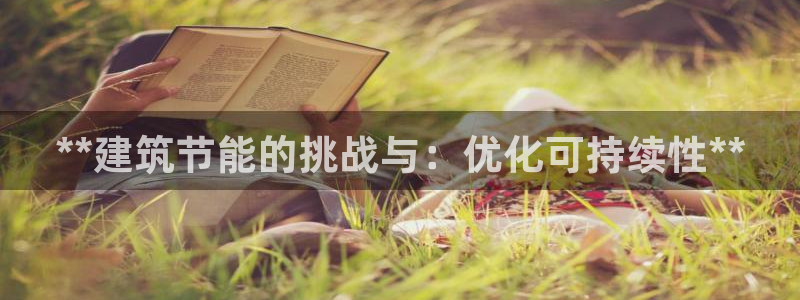 e尊国际客户端：**建筑节能的挑战与：优化可持续性**