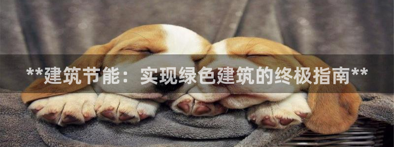 尊亿娱乐国际官网：**建筑节能：实现绿色建筑的终极指南**