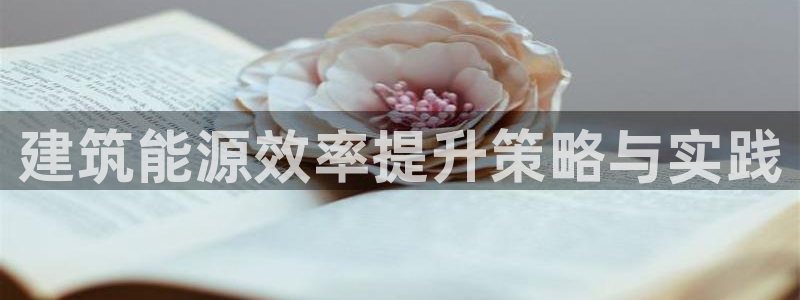 谁知道e尊国际的网址：建筑能源效率提升策略与实践
