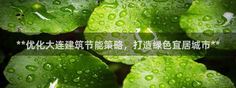 E尊国际网站：**优化大连建筑节能策略，打造绿色宜居城市**