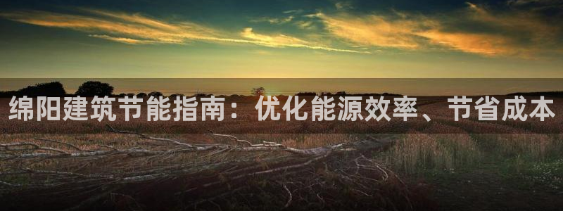 e尊国际平台：绵阳建筑节能指南：优化能源效率、节省成本