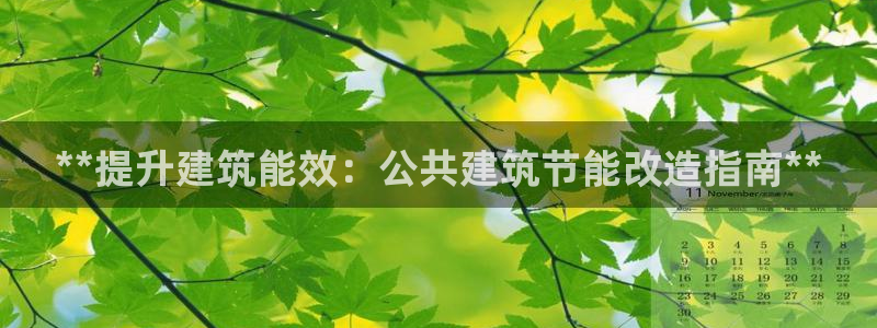 e尊国际7779：**提升建筑能效：公共建筑节能改造指南**