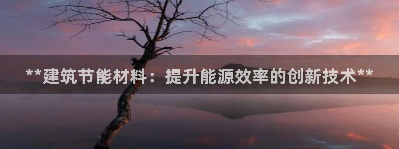 谁知道e尊国际的网址：**建筑节能材料：提升能源效率的创新技术**