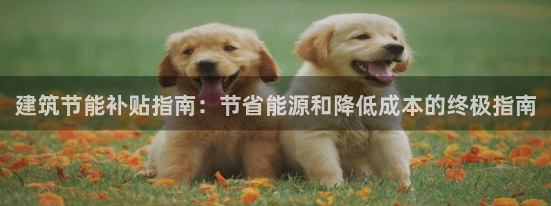 e尊平台：建筑节能补贴指南：节省能源和降低成本的终极指南