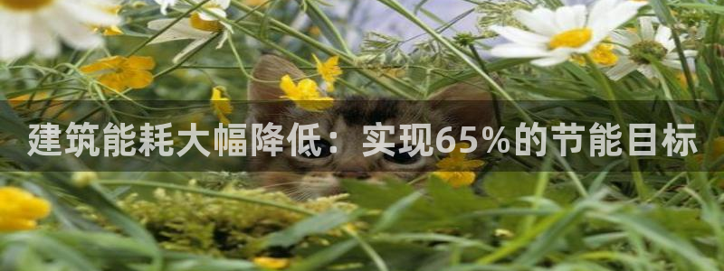 e尊国际-e尊国际官网：建筑能耗大幅降低：实现65%的节能目标