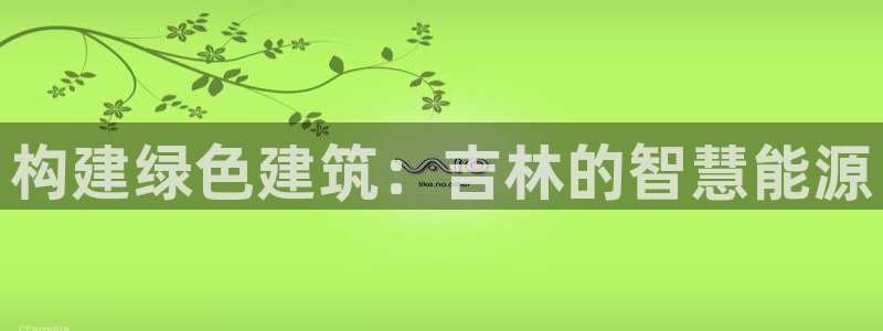 谁知道e尊国际的网址：构建绿色建筑：吉林的智慧能源