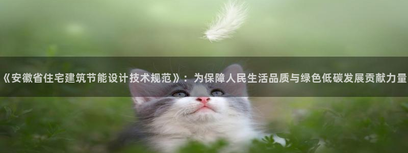 e尊国际-可可计划：《安徽省住宅建筑节能设计技术规范》：为保障人民生活品质与绿色低碳发展贡献力量