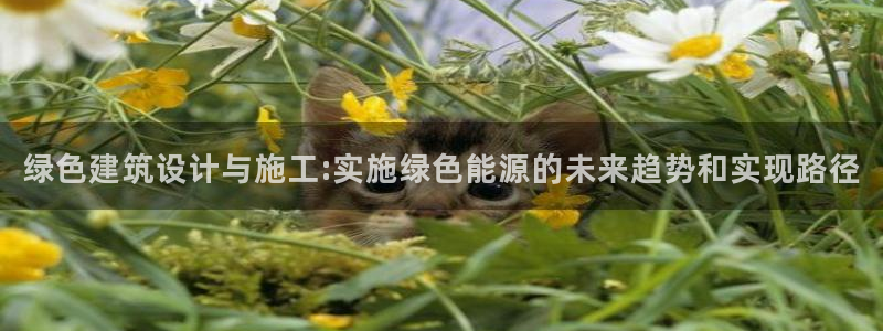 E尊国际网站：绿色建筑设计与施工:实施绿色能源的未来趋势和实现路径