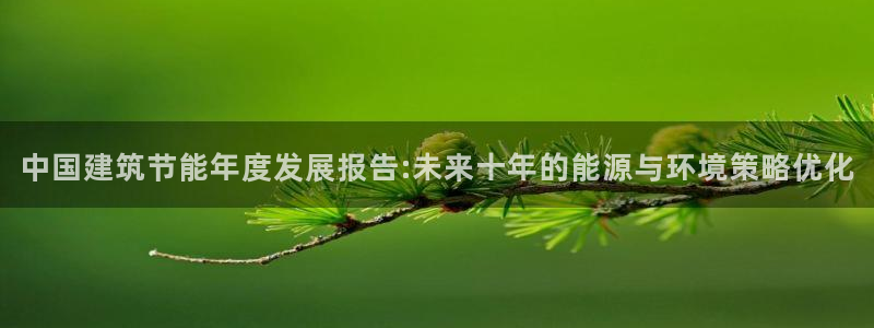e尊国际app：中国建筑节能年度发展报告:未来十年的能源与环境策略优化