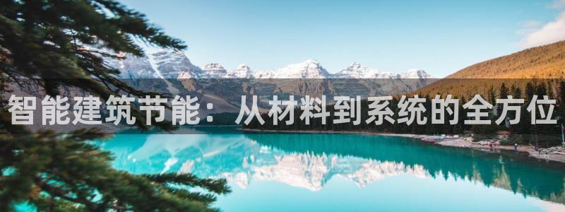 谁知道e尊国际的网址：智能建筑节能：从材料到系统的全方位