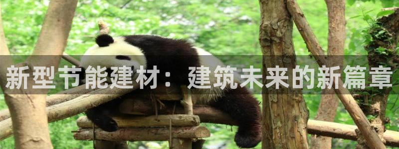 e尊国际官方网站：新型节能建材：建筑未来的新篇章