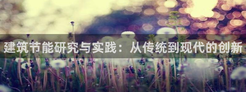 E尊国际网站：建筑节能研究与实践：从传统到现代的创新