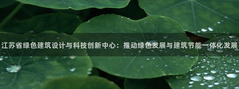 e尊国际官网·网址