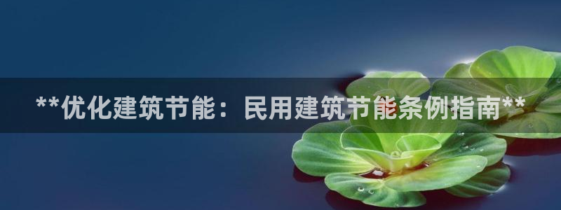 e尊国际app：**优化建筑节能：民用建筑节能条例指南**