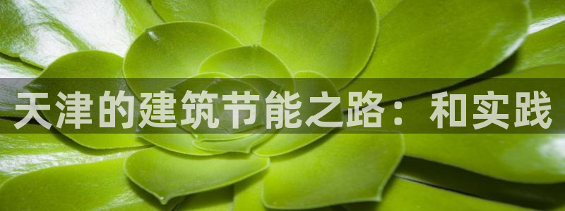 e尊国际是个黑网：天津的建筑节能之路：和实践