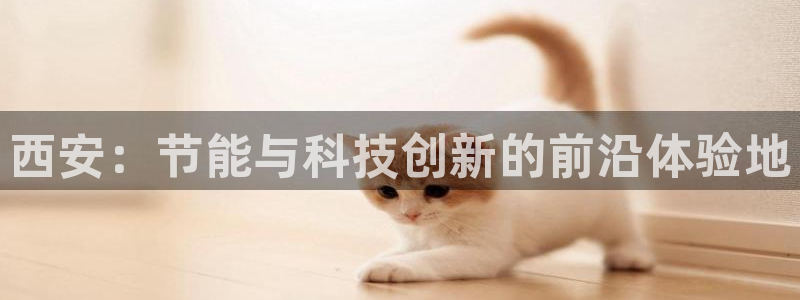 e尊国际娱乐官网下载：西安：节能与科技创新的前沿体验地