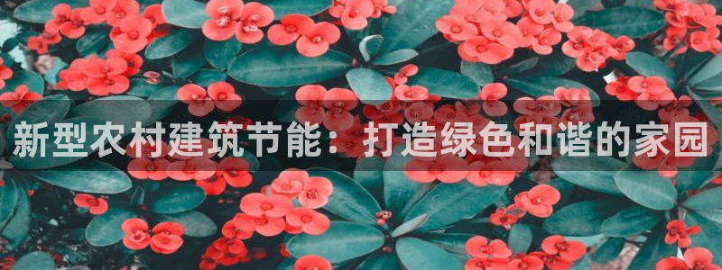 E尊国际：新型农村建筑节能：打造绿色和谐的家园