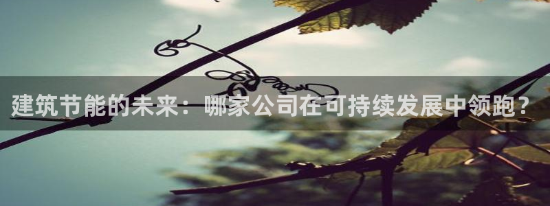 e尊国际官网：建筑节能的未来：哪家公司在可持续发展中领跑？