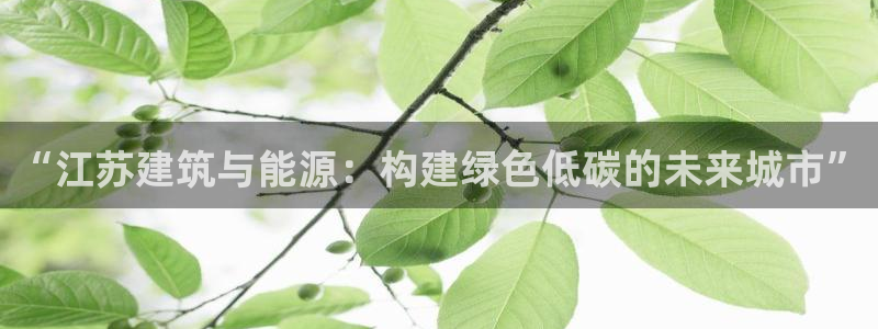 e尊国际是个黑网：“江苏建筑与能源：构建绿色低碳的未来城市”