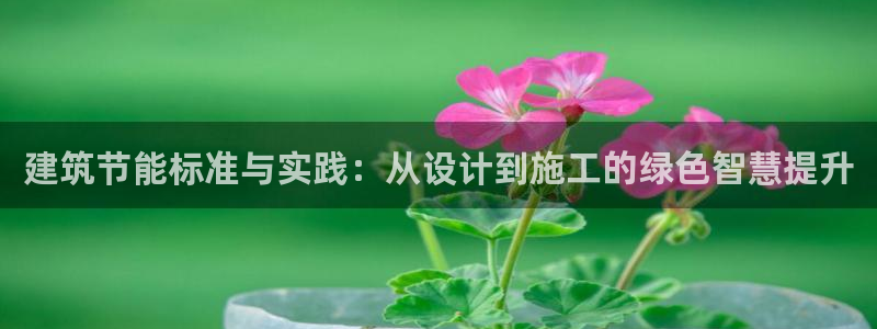 e尊国际平台：建筑节能标准与实践：从设计到施工的绿色智慧提升