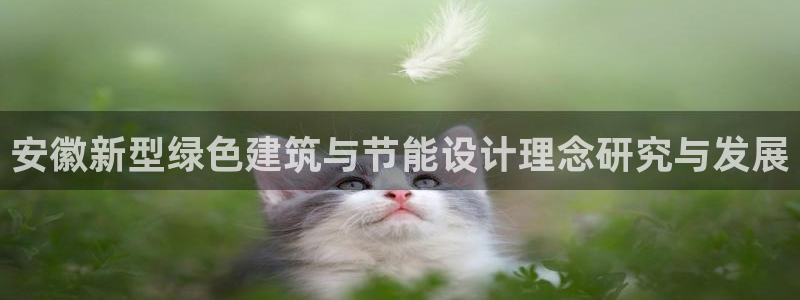 e尊国际-可可计划：安徽新型绿色建筑与节能设计理念研究与发展