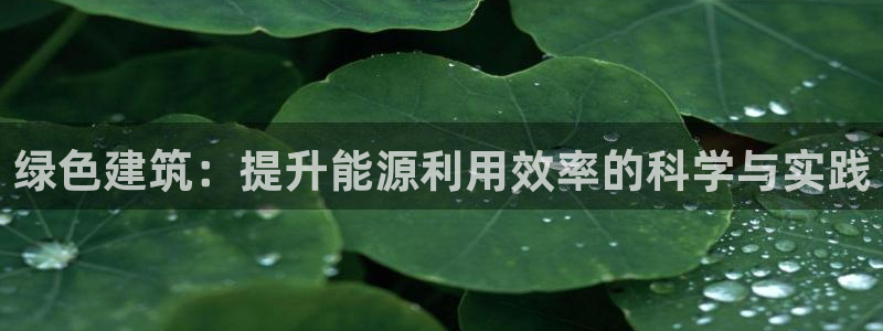 E尊国际网站：绿色建筑：提升能源利用效率的科学与实践