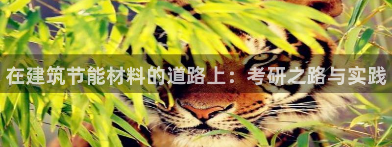 E尊国际：在建筑节能材料的道路上：考研之路与实践