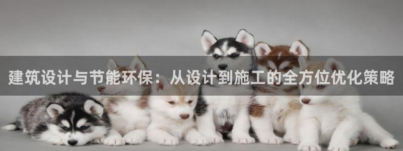 e尊国际官方网站：建筑设计与节能环保：从设计到施工的全方位优化策略
