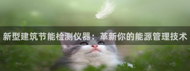 e尊国际是个黑网：新型建筑节能检测仪器：革新你的能源管理技术