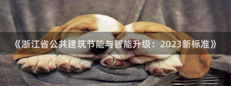 e尊国际平台：《浙江省公共建筑节能与智能升级：2023新标准》