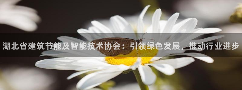 E尊国际：湖北省建筑节能及智能技术协会：引领绿色发展，推动行业进步